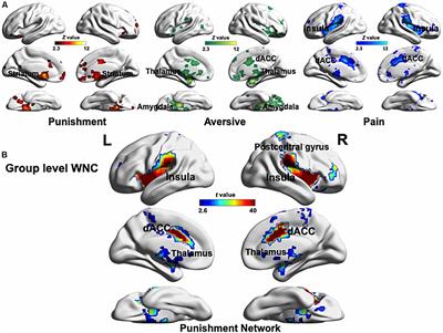 Resting-State Functional Connectivity of the Punishment Network Associated With Conformity